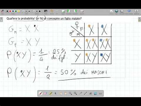 Esercizi Di Genetica Parte Youtube