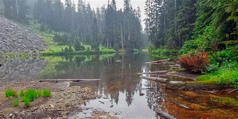 Lynn Lake Hike In North Vancouver | Outdoor Vancouver