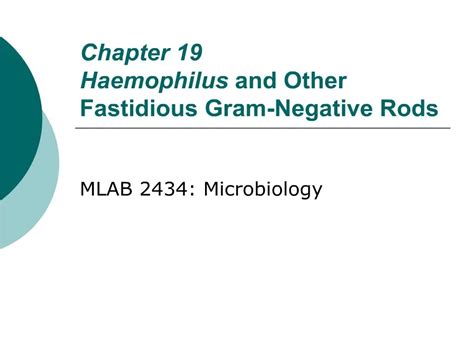 PPT Chapter 19 Haemophilus And Other Fastidious Gram Negative Rods