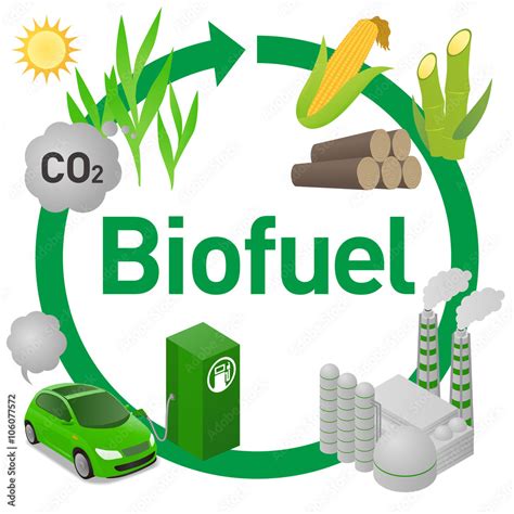 Vetor De Biofuel Life Cycle Biomass Ethanol From Corn Sugarcane Wood