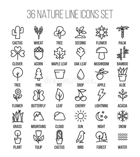 Set Of Nature Icons In Modern Thin Line Style Stock Vector