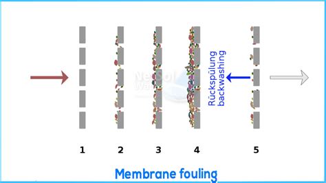 What Is Membrane Fouling In Ro Plants And The Ways To Reduce It