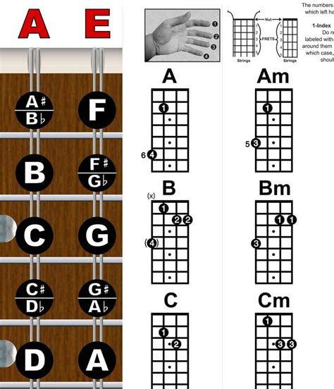 Buy Mandolin Classic Style Easy Chord And Fretboard Note Chart Instructional Poster For Beginners