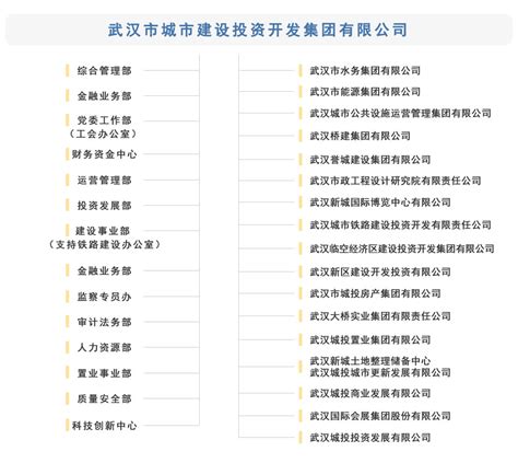 组织架构 武汉城投集团