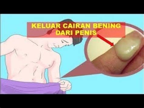 Cairan Bening Keluar Dari Penis Penyakit Kelamin Menular Youtube