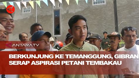 Berkunjung Ke Temanggung Gibran Serap Aspirasi Petani Tembakau YouTube