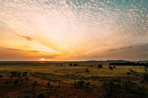 Darwin To Kakadu Day Trip