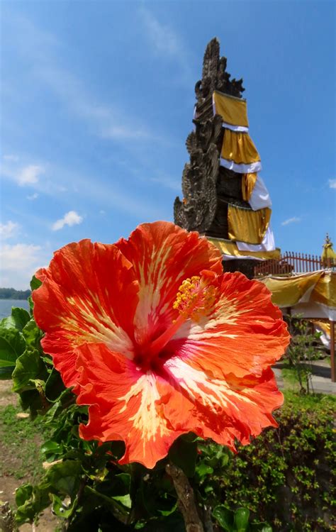Sentir con Flores de Bach - Pilar Vidal Clavería: Templos en Bali, la