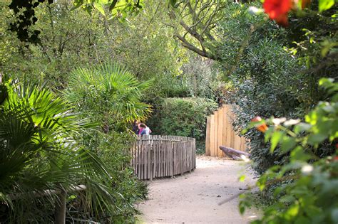 Zoo En Images Zoo Des Sables Dolonne