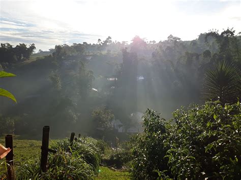Manolo Fortich Bukidnon
