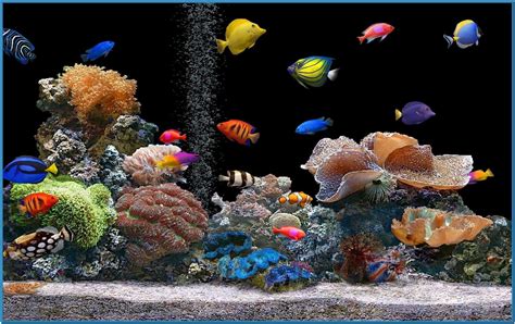 Moving Fish Wallpaper (57+ images)