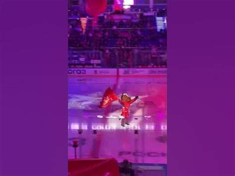 Хоккей | Конь - талисман ЦСКА выходит первым на лёд арены #hockey #khl ...