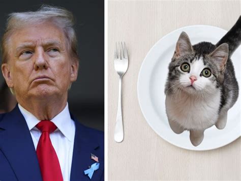 Keine Katzenesser Deutsche Regierung macht sich über Donald Trumps