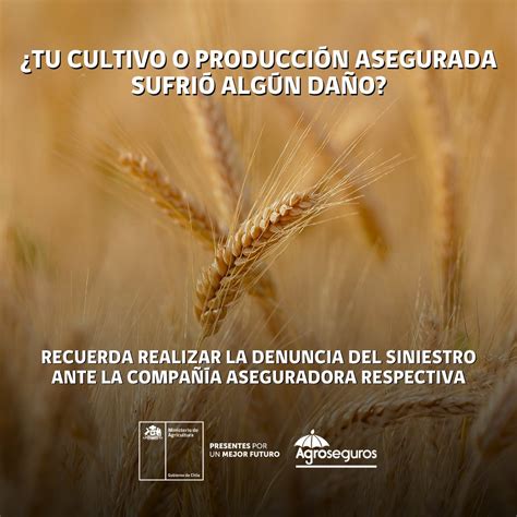 Agroseguros On Twitter Atenci N Agricultoras Y Agricultores Si