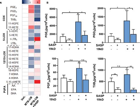 Figure 5 From Mycobacterium Tuberculosis Induced Upregulation Of The