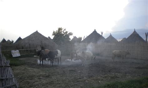 15th Nilo-Saharan Linguistics Colloquium, August 2021 – Nilotic@Edinburgh