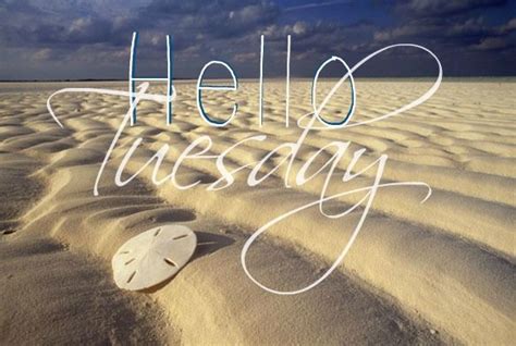 Happy Tuesday Coastal Lovers ~ Happy Day Quotes Happy Tuesday Hello