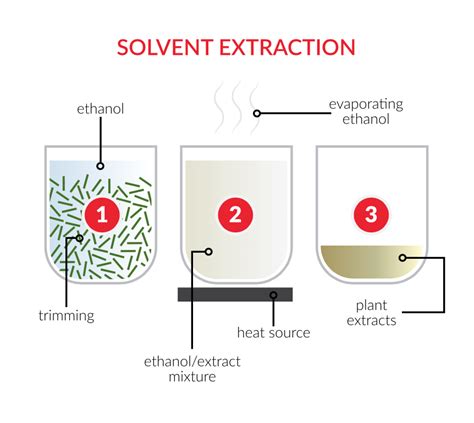 Solvent Extraction Process Explained