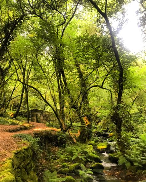 Caminho De Santiago Variante Espiritual Passa Montanhas