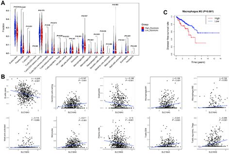 Relationship Between Immune Cell Infiltration And Glycolytic Activity