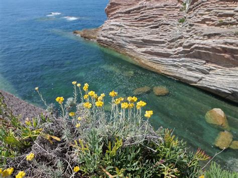 Une Randonn E De Zumaia Deba La D Couverte Du Flysch Paysbasque Net