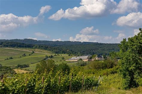 Premium Photo Scenics Nature At Oestrich Winkel