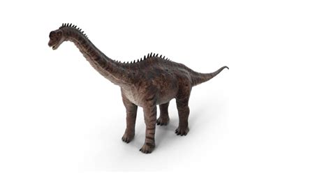 Europasaurus, 3D - Envato Elements