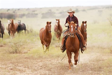 The Unveiling Of The Road To The Horse 2020 Remuda 6666 Ranch