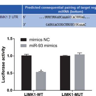 Limk Was Verified As A Direct Target Gene Of Mir A Online