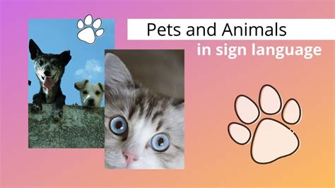 Pets and Animals in ASL - ASL Basics