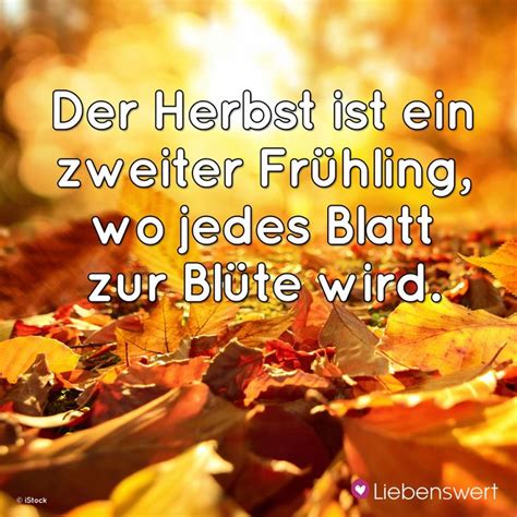 Spr Che Zum Thema Gl Ck Und Gl Cklichsein Herbst Spruch Zitate