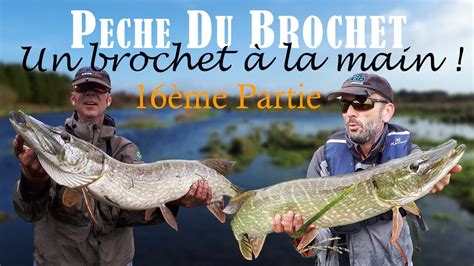 Pêche Du Brochet 16 Un Brochet à La Main Youtube