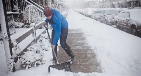 Comment Utiliser Le Sel De Déneigement Signal Auto