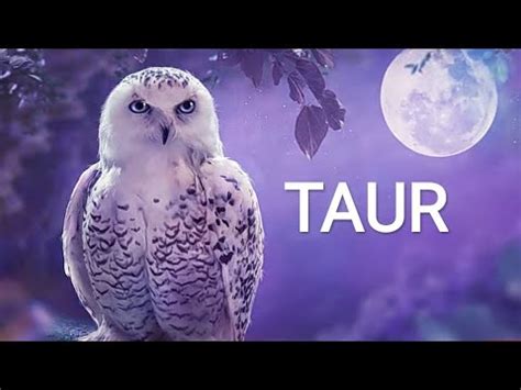 Taurun Mesaj Va Schimba Viata Voastra Tarot Taur Youtube