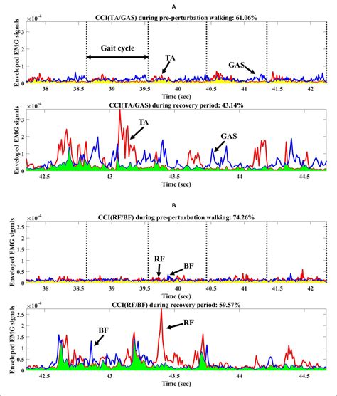 Figure 2 from Aging Affects Lower Limb Joint Moments and Muscle