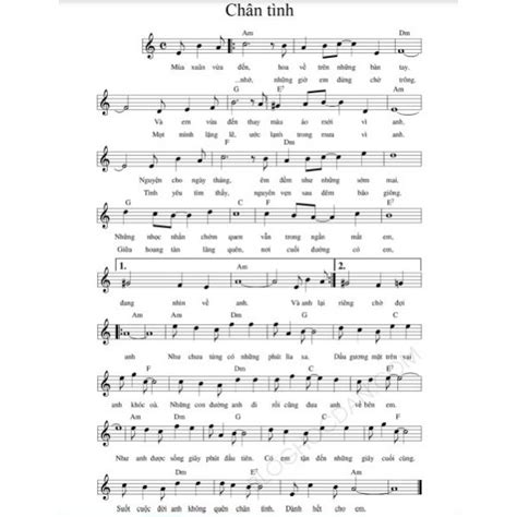 Chân Tình - Mỹ Tâm - Sheet Music