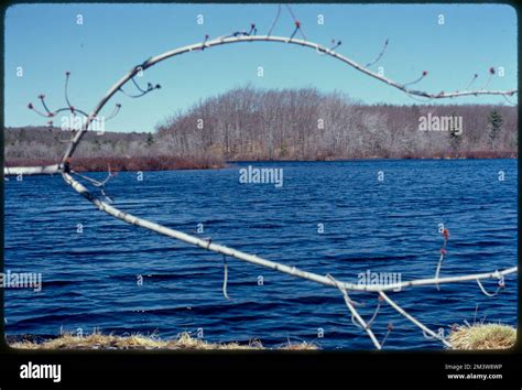 Stony Brook Branch Of Charles River Runs Into Stop River Blake