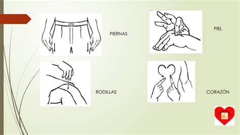 Ppt Partes Del Cuerpo Lengua De Se As Pptx