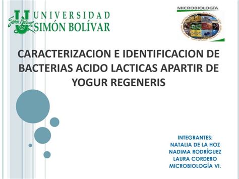 Identificaci N De Bacterias Cido L Cticas Bal A Partir De Yogurt Ppt