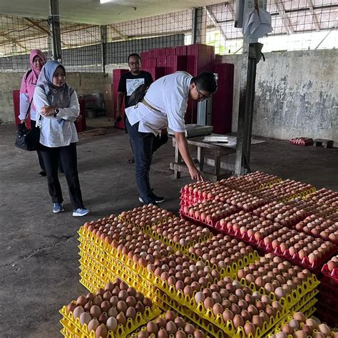 Pengawasan Produk Hewan Dan Pembinaan Sertifikat Nkv Nomor Kontrol