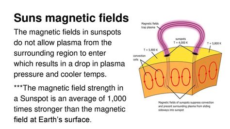 The Sun And Its Effects Ppt Download