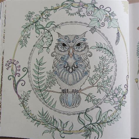 An Owl Surrounded By Leaves And Flowers With The Word Owl On It S Face