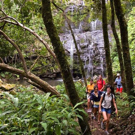 Best Big Island Hiking Tours Kohala Waterfall Tour