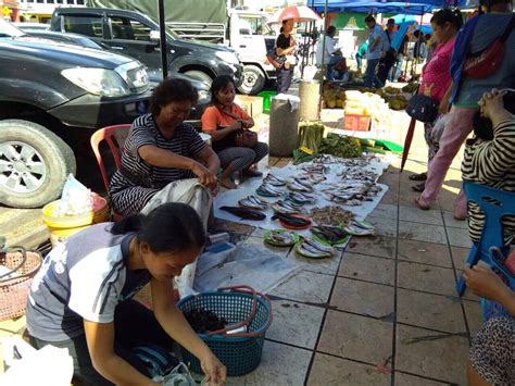 Hasil Laut Sayur Segar Di Pasar Sentral Sibu Malaysiaaktif