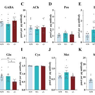 Reduced Levels Of Glutamine Gln In The Synaptic Vesicles SVs Of