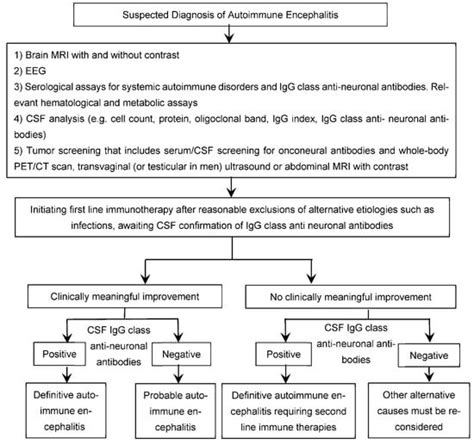 Brain Sciences Free Full Text Autoimmune Encephalitis A Physician