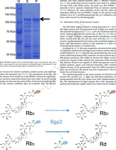 Schematic view of the transformation pathways for Rb 2 conversion into ... 