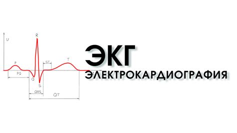 Сделать ЭКГ с расшифровкой в Москве по разумным ценам