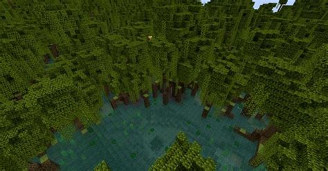 How To Find The Mangrove Swamp In Minecraft