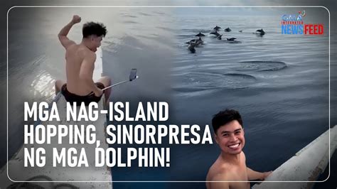 Mga Nag Island Hopping Sinorpresa Ng Mga Dolphin GMA Integrated